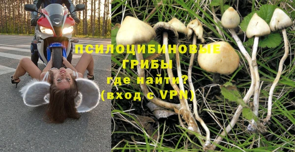 ГАЛЛЮЦИНОГЕННЫЕ ГРИБЫ Алексин